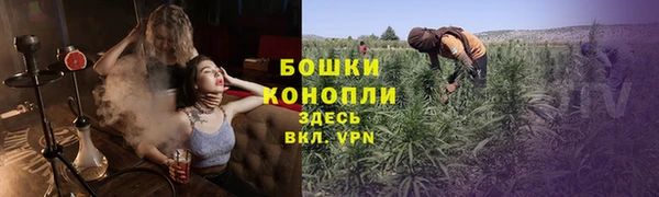 ALPHA PVP Аркадак