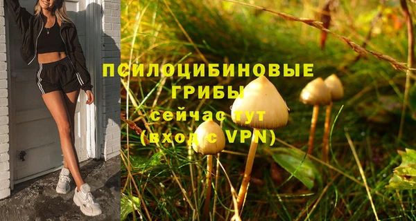 Альфа ПВП Арсеньев