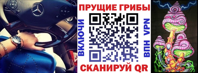 omg вход  Можга  Псилоцибиновые грибы мухоморы 